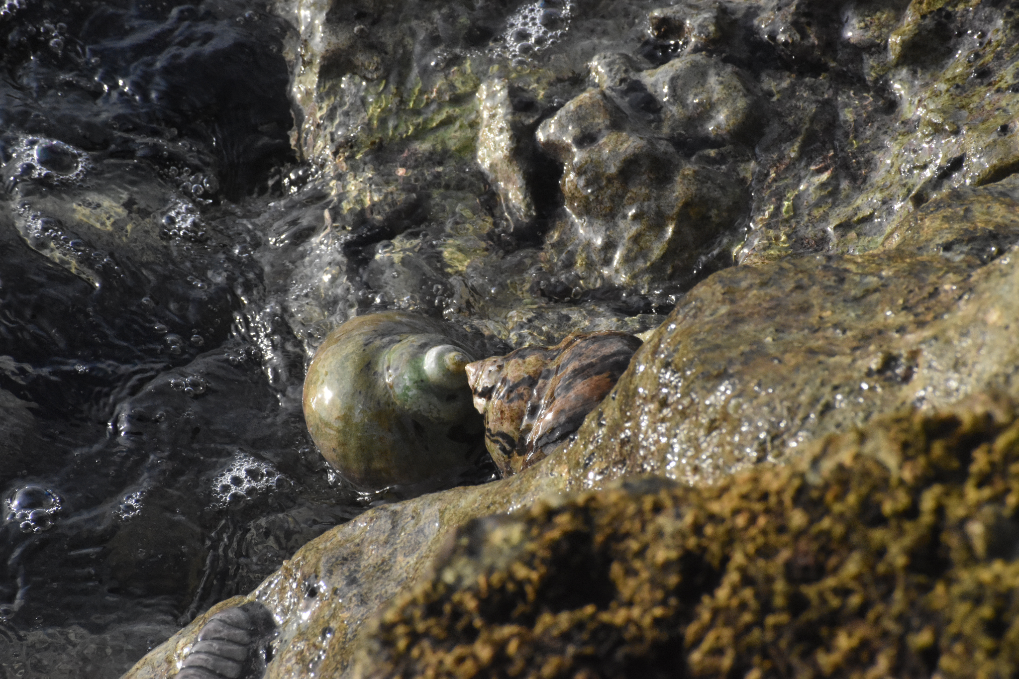 Documentary landscape mood